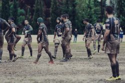 Rugby Research Hero Bacground Image